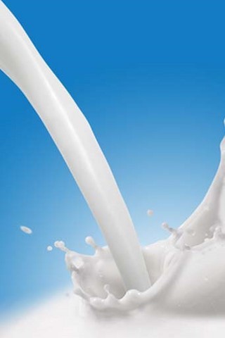 Lait